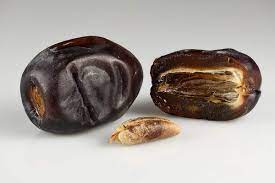 kurma bam